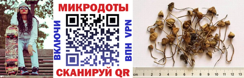 Галлюциногенные грибы Psilocybe  блэк спрут зеркало  Нерехта 
